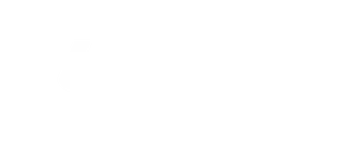 Lipice (opens in a new tab)