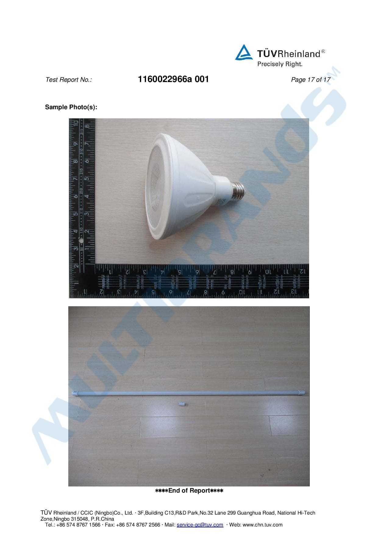 Rocking the night away