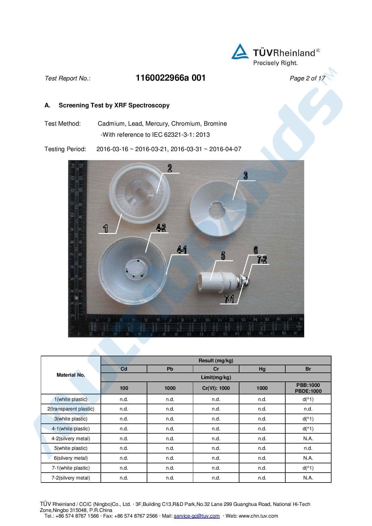 Rocking the night away