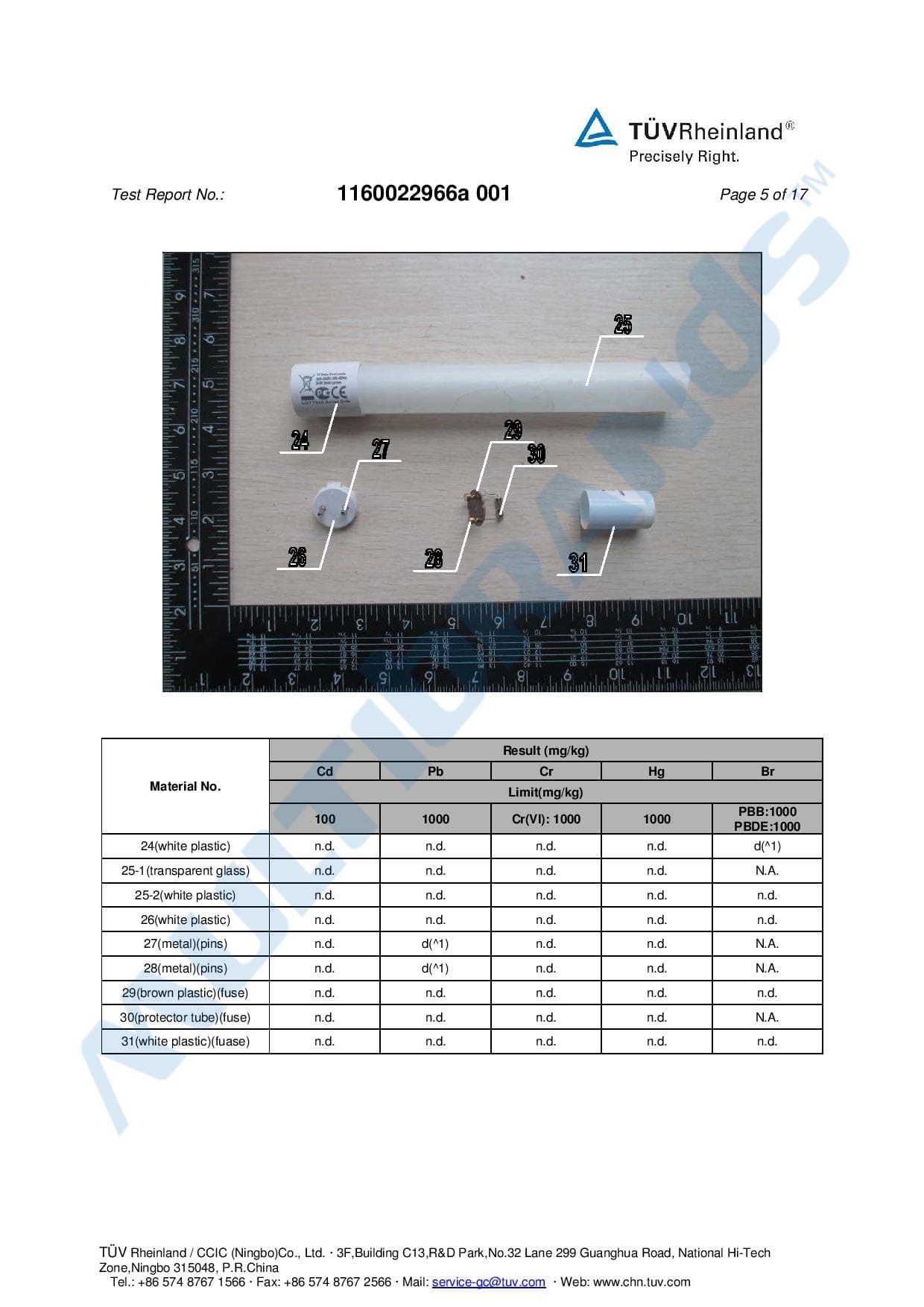 Rocking the night away