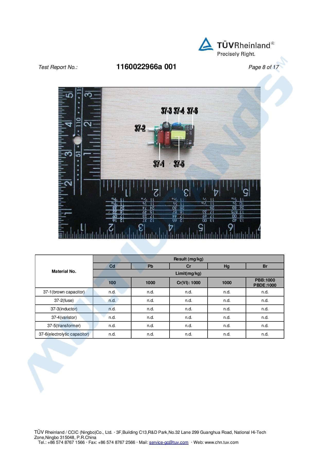 Rocking the night away